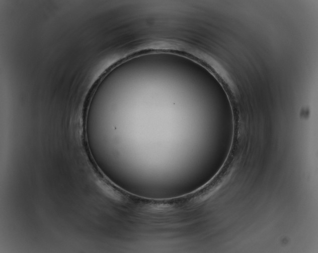 X0000102480837200808081303