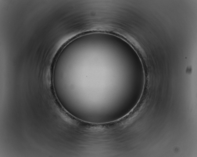 X0000102480838200808081303