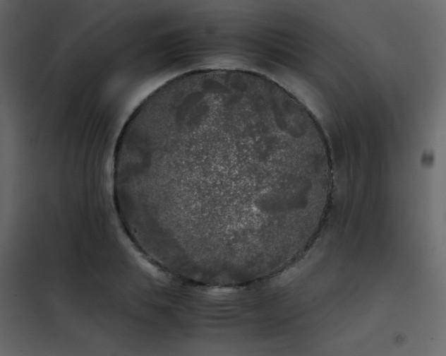 X0000102480839200808081303