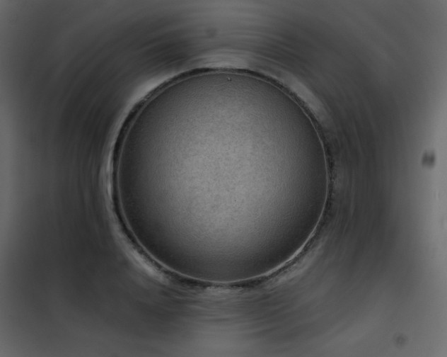 X0000102480840200808081303