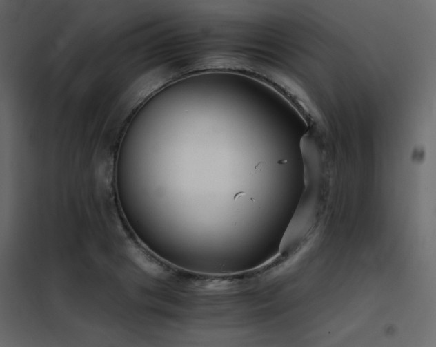 X0000102480841200808081303