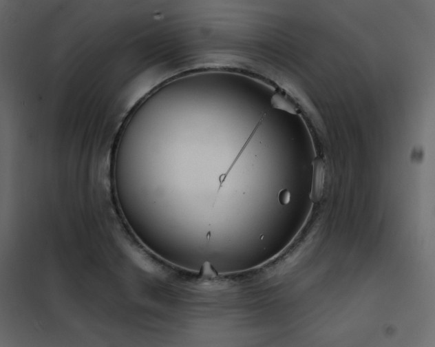 X0000102480842200808081303