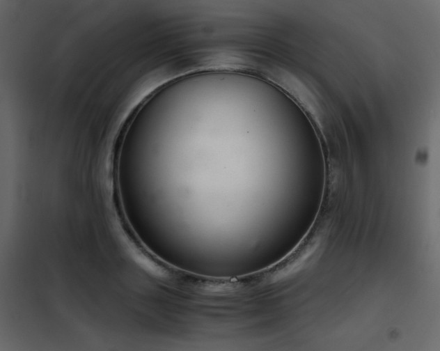 X0000102480843200808081303