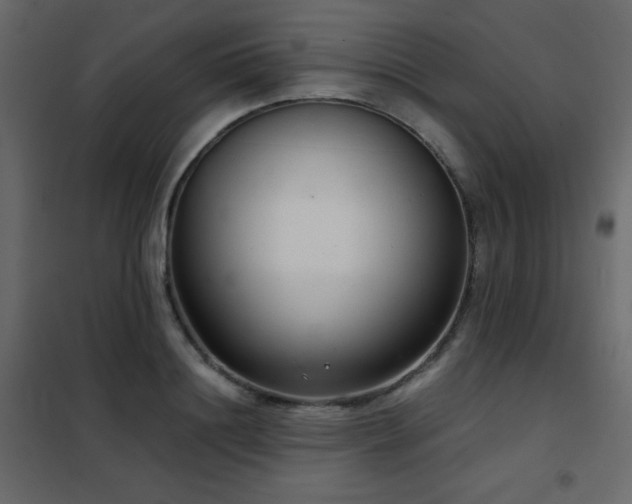 X0000102480844200808081303
