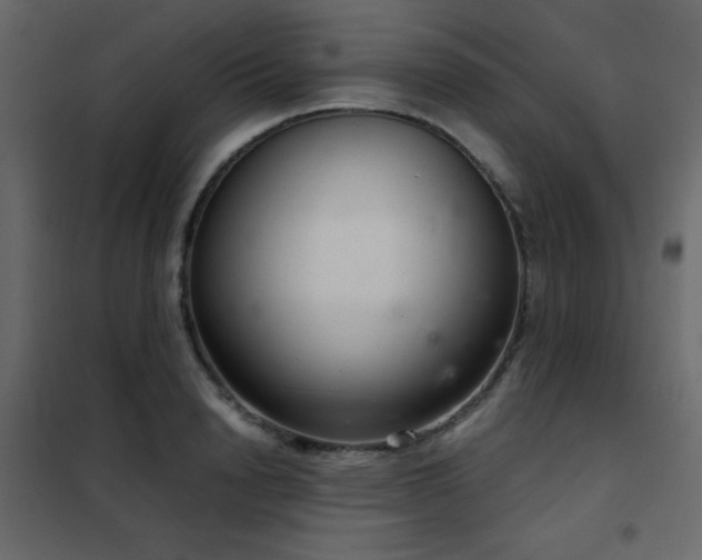 X0000102480846200808081303