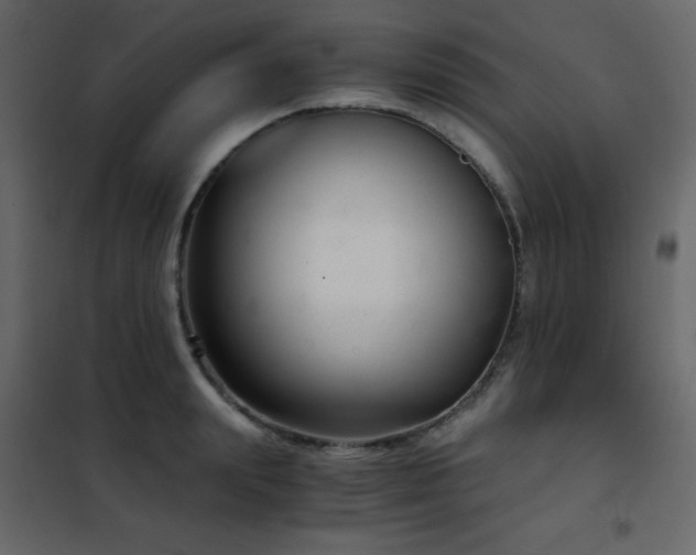 X0000102480847200808081303