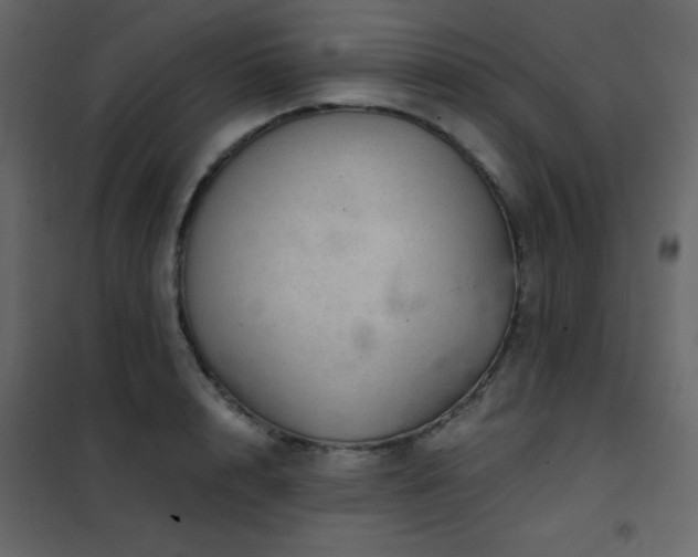 X0000102480848200808081303