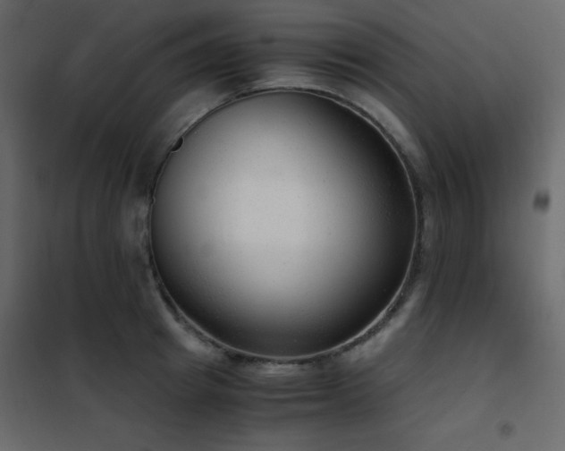 X0000102480849200808081303