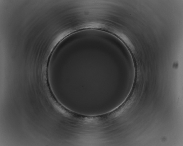 X0000102480850200808081303