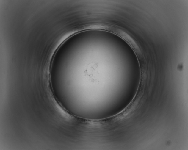 X0000102480852200808081303