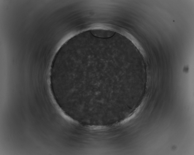 X0000102480853200808081303