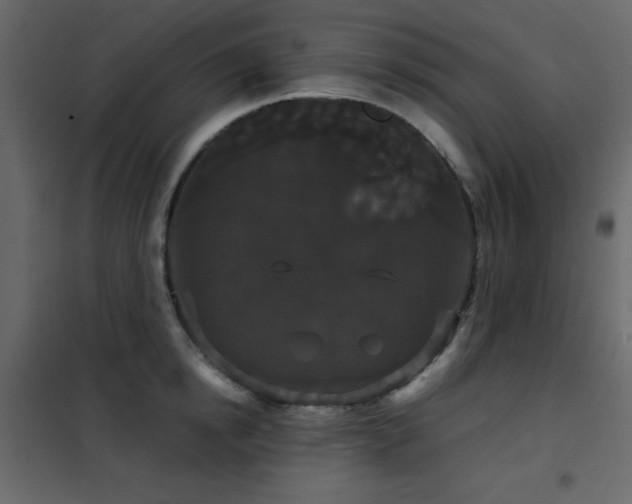 X0000102480854200808081303