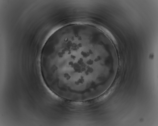 X0000102480855200808081303