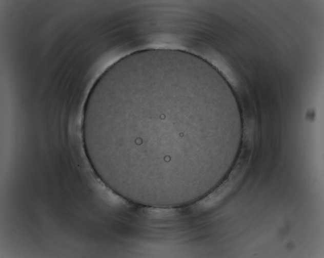 X0000102480856200808081303
