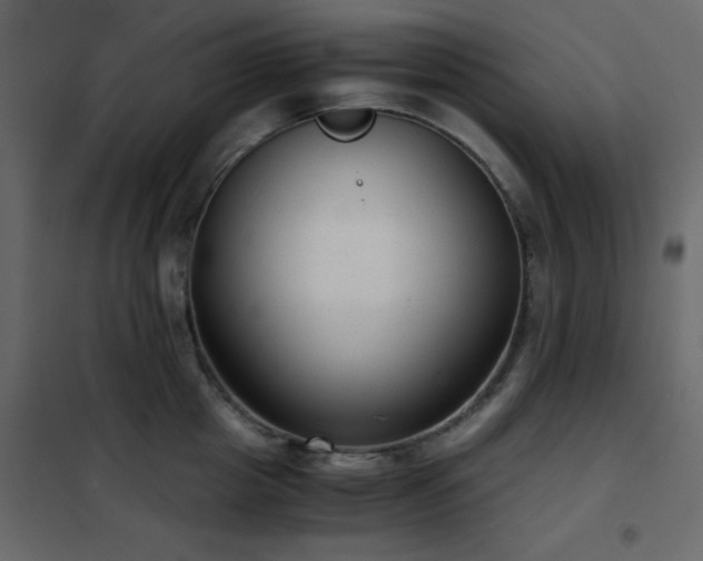 X0000102480857200808081303