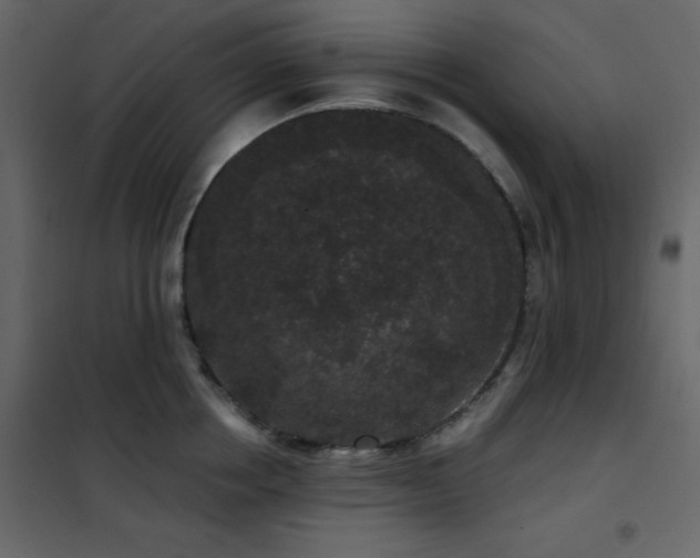 X0000102480858200808081303