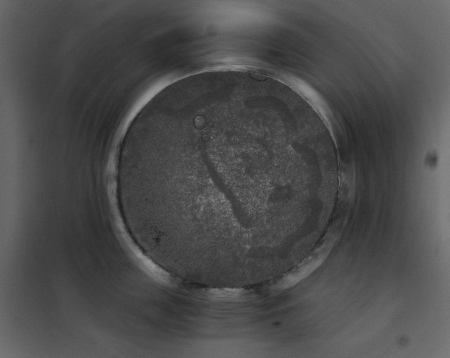 X0000102480859200808081303