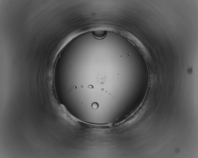 X0000102480860200808081303