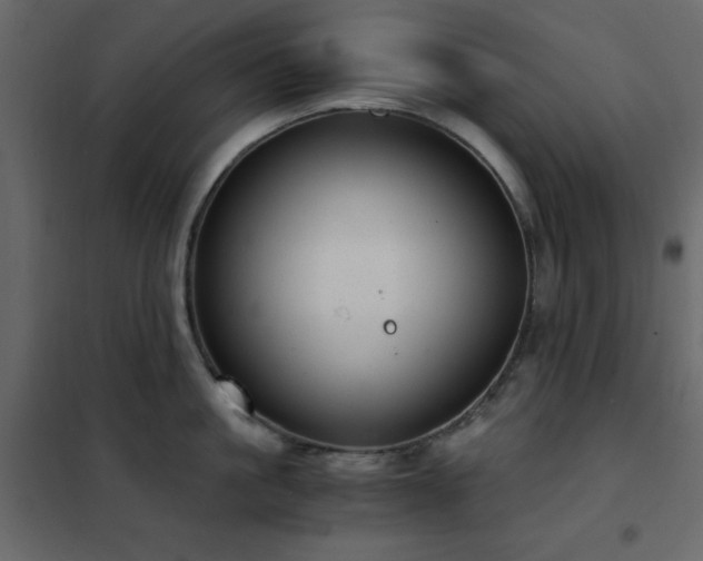 X0000102480861200808081303
