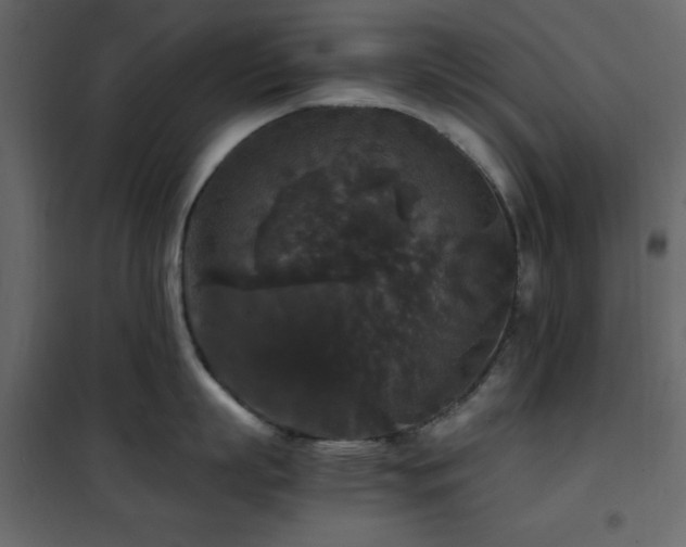 X0000102480863200808081303