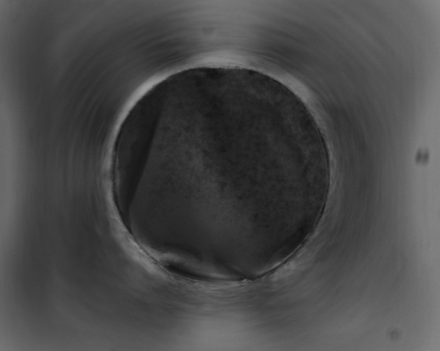 X0000102480864200808081303