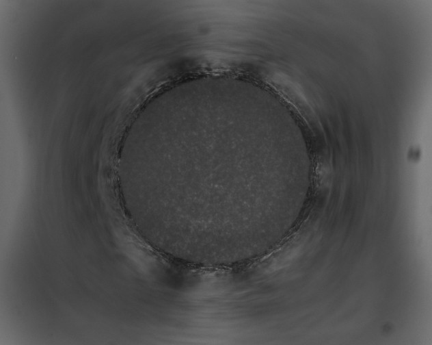 X0000102480865200808081303