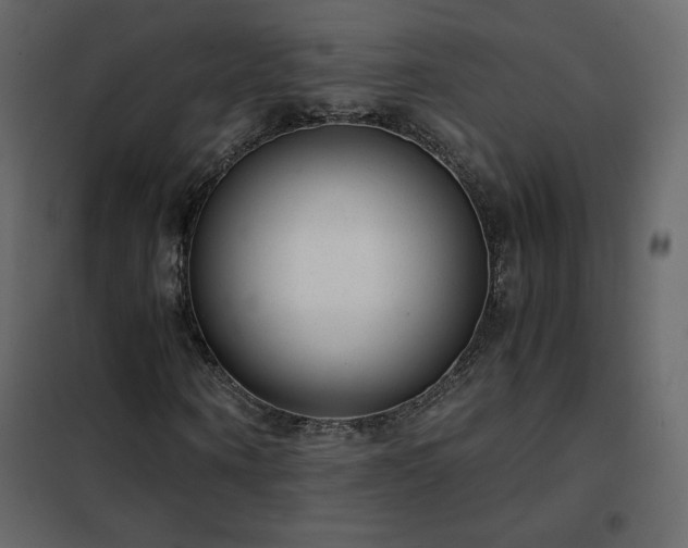 X0000102480866200808081303