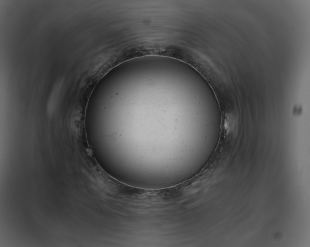 X0000102480867200808081303