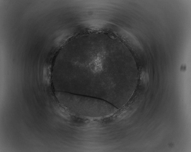 X0000102480868200808081303