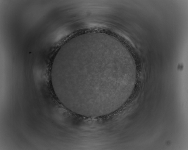 X0000102480869200808081303