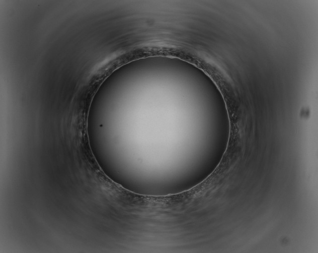 X0000102480870200808081303