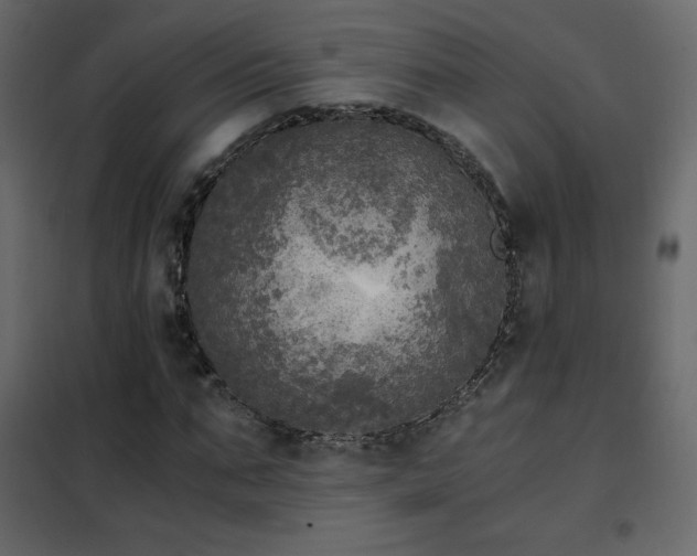 X0000102480871200808081303