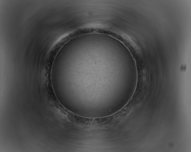 X0000102480872200808081303