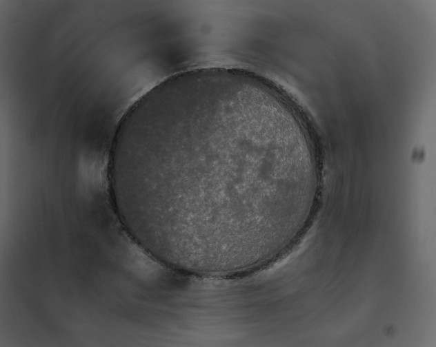 X0000102480873200808081303