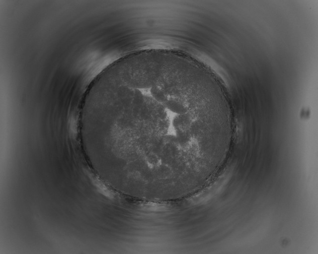 X0000102480874200808081303