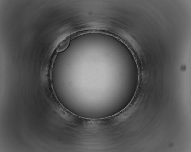 X0000102480875200808081303