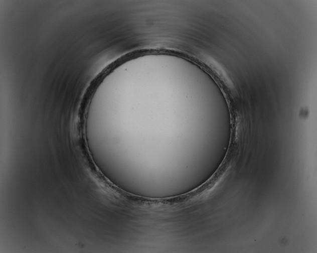 X0000102480876200808081303