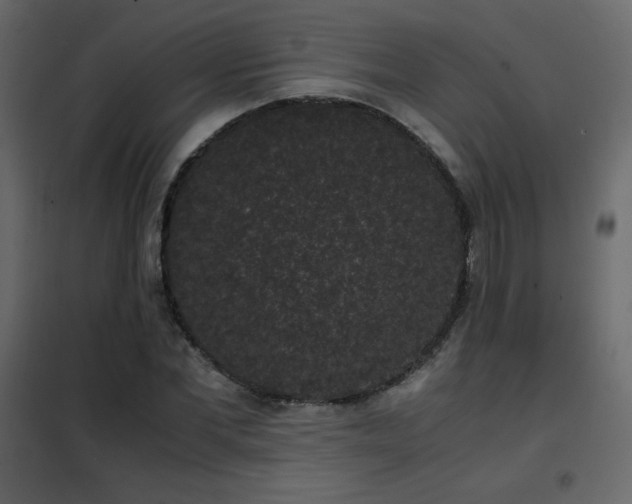 X0000102480877200808081303