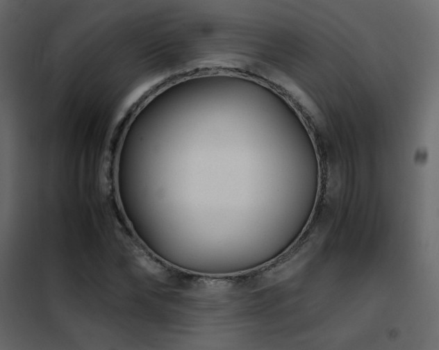 X0000102480878200808081303