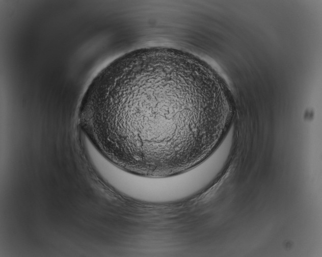 X0000102480879200808081303