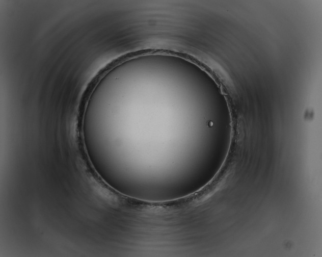 X0000102480880200808081303