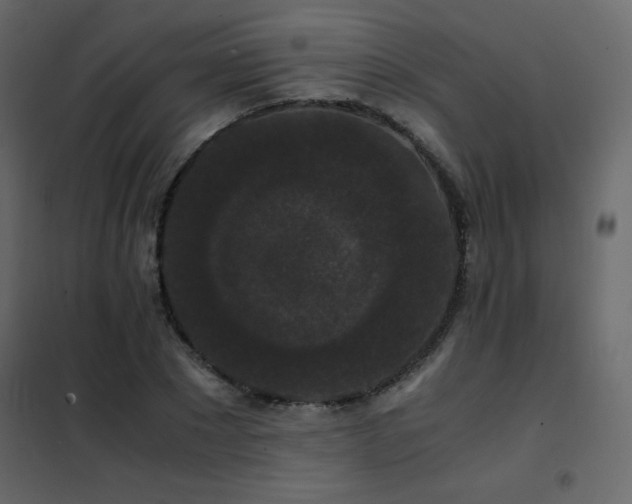 X0000102480881200808081303