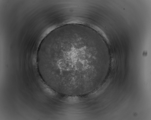 X0000102480882200808081302