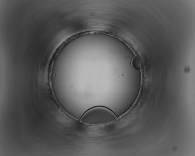 X0000102480883200808081302