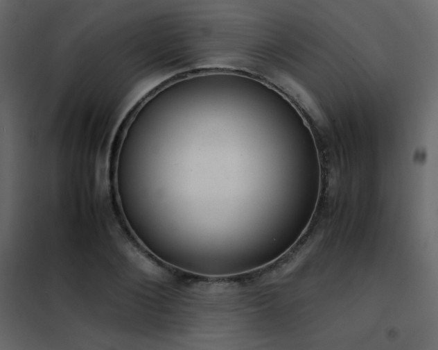 X0000102480884200808081302