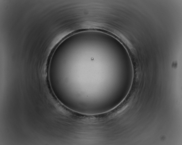 X0000102480885200808081302