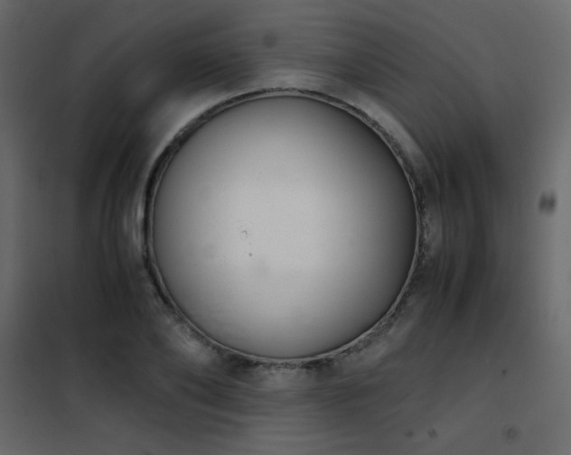 X0000102480886200808081302