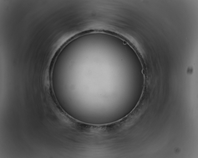 X0000102480887200808081302
