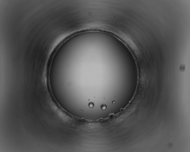 X0000102480888200808081302