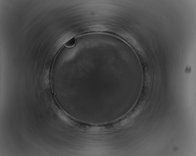 X0000102480889200808081302